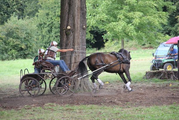 Fete-du-cheval-18-08-13 4754