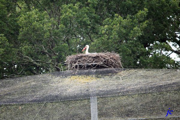 rencontre ile oleron