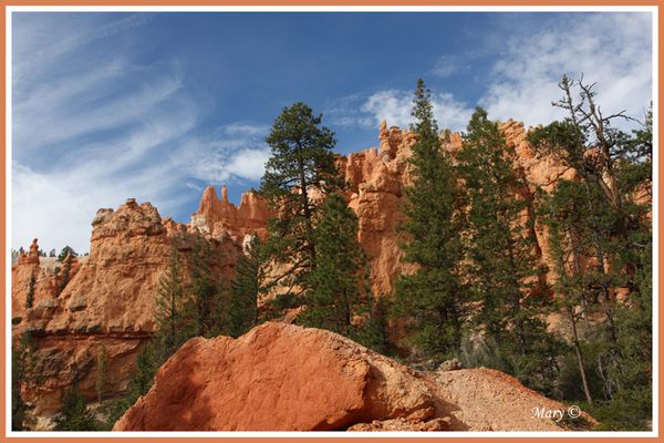 Bryce canyon vu d'en bas copier