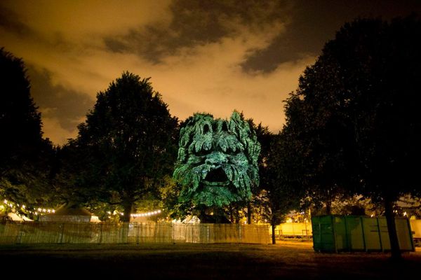 Clement-Briend-arbre.jpg
