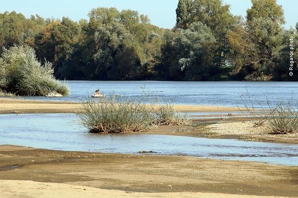 loire-sauvage-mairie-de-Cosne-sur-Loire.jpg