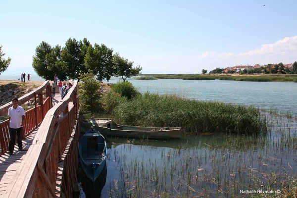 lac-copy-copie-1.jpg
