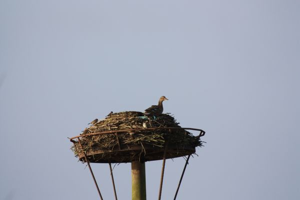 IMG_5894.JPG