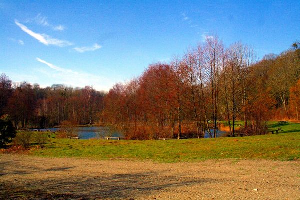 FI3 Etangs du Moulin Neuf, Presles