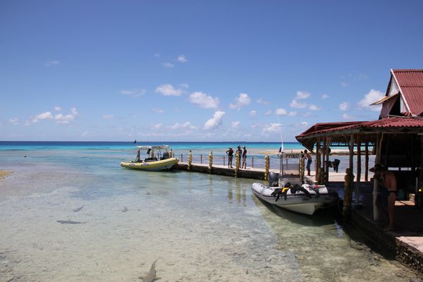 fakarava-avec-julien 2556