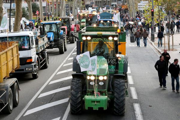 Manifestation agricole Toulouse 2014 (123)