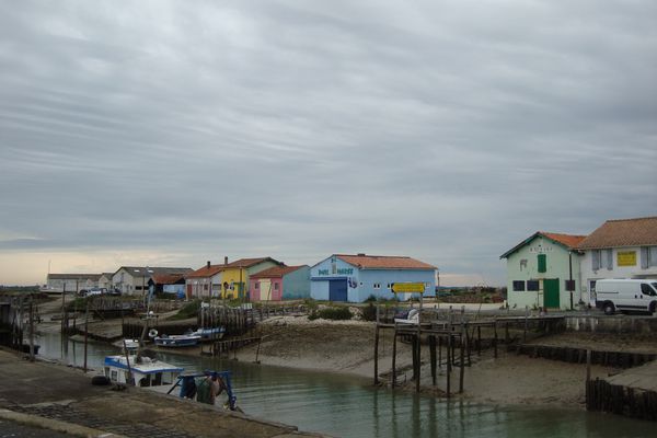 DSC06959