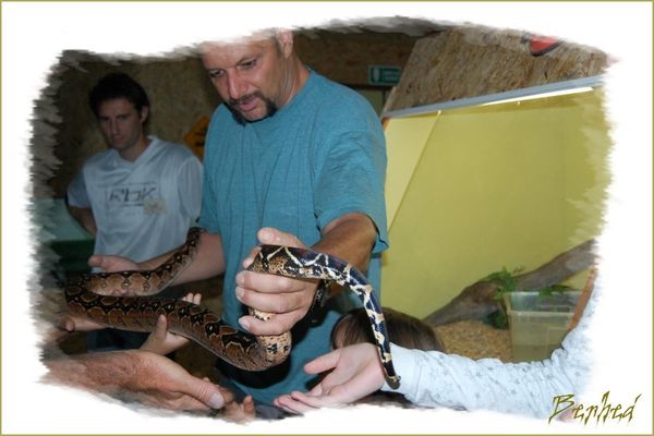 serpent3.jpg