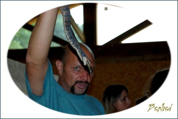 serpent4.jpg