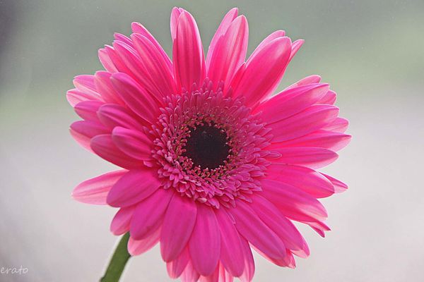 1-novembre-2012-042a.jpg
