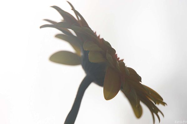 1-novembre-2012-052a.jpg