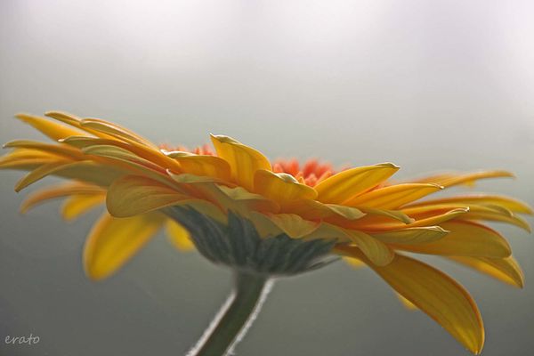 1-novembre-2012-066a.jpg