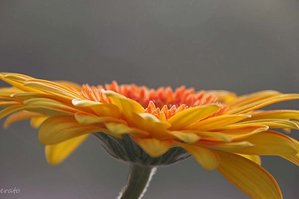 1-novembre-2012-067a.jpg