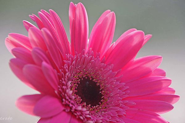 1-novembre-2012-070a.jpg