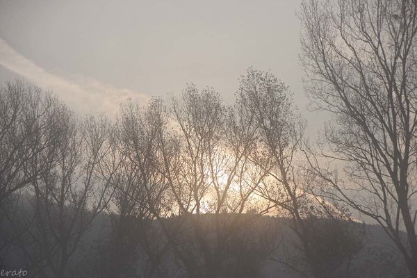 19novembre2012-058a.jpg