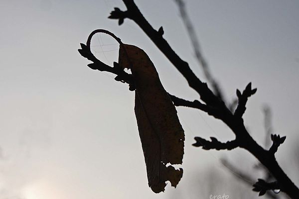 19novembre2012-099a.jpg