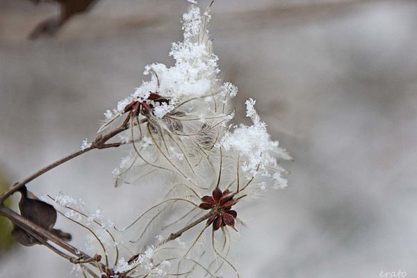 7-decembre-2012---neige-004a.jpg
