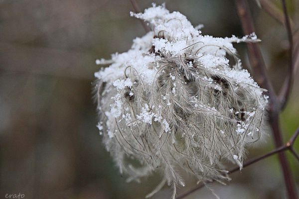 7-decembre-2012---neige-005a.jpg