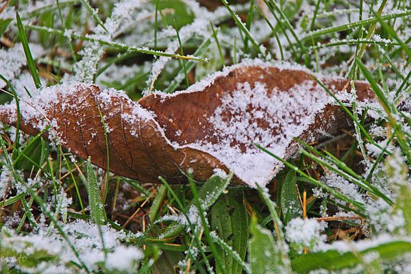7-decembre-2012---neige-010a.jpg