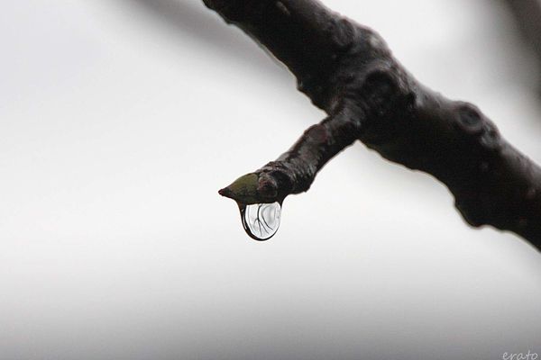 1-janvier-2012-045a.jpg