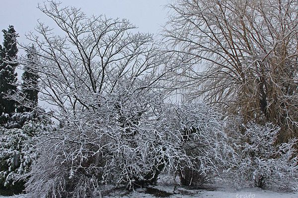neige-012a.jpg