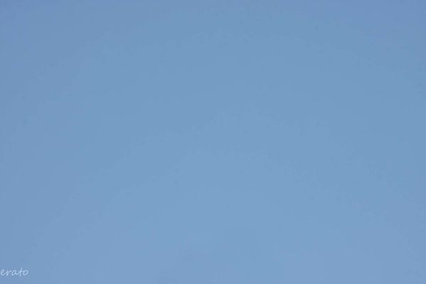 ciel-017a.jpg