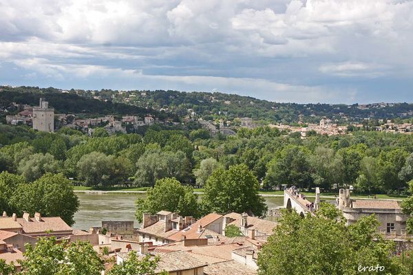 Avignon-168a.jpg