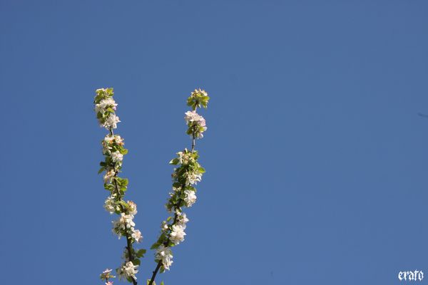 18-avril-2011---le-ciel-003.JPG