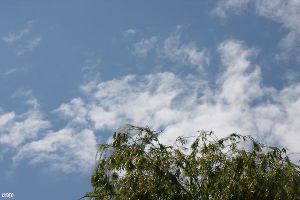 Paques-2011-005.JPG