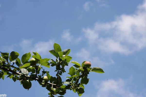 6juin2011-ciel--mures-007.JPG