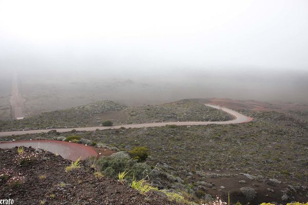 20-mars-2011--Piton-de-la-Fournaise-023-a.jpg