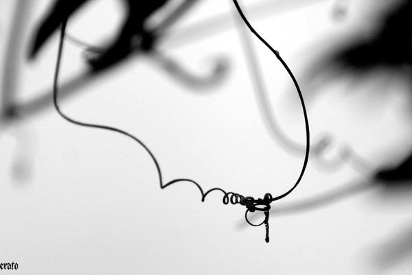 17sept.2011--vrilles-009a.jpg