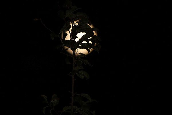 10oct2011--lune-010a.jpg