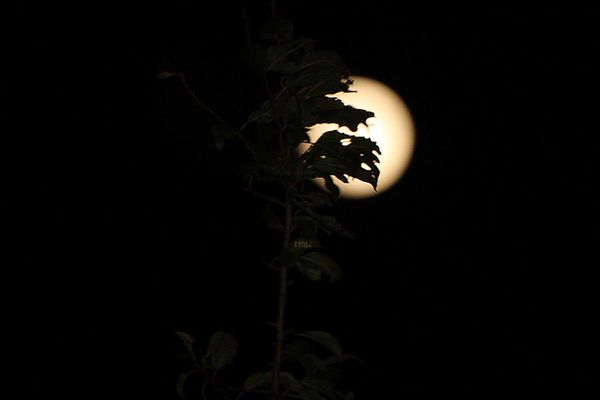 10oct2011--lune-011a.jpg