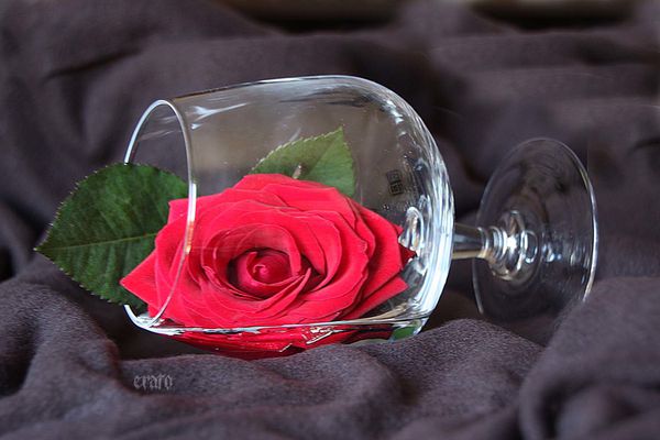 5-oct.-2011--ciel--rose-verre-025a.jpg