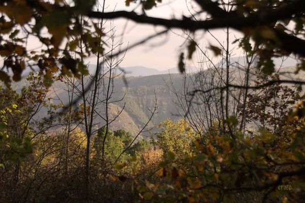 12nov2011-Foret-Lyas-050a.jpg