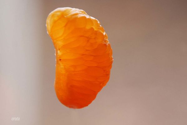 7-dec.-2011--clementine-007a.jpg