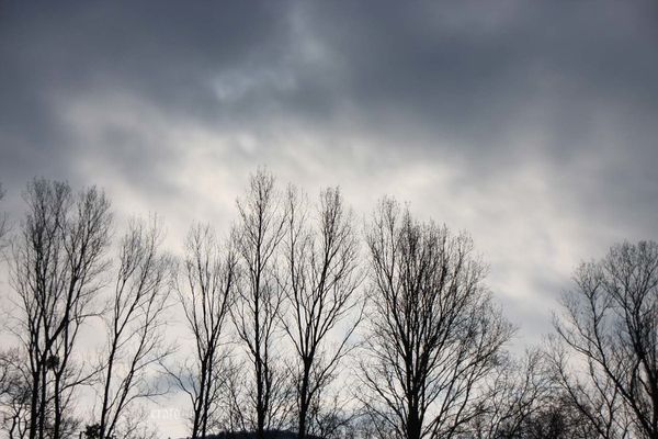 30janv2012--ciel-oiseaux-014.JPG