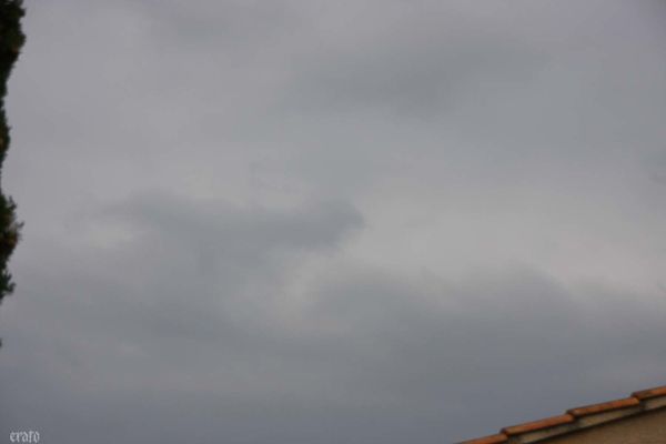 30janv2012--ciel-oiseaux-015.JPG