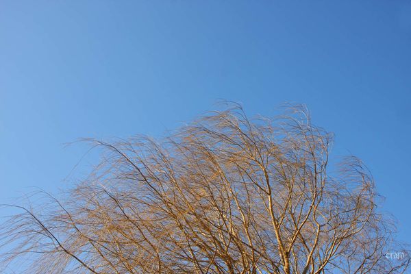 6fev2012--ciel-002.JPG