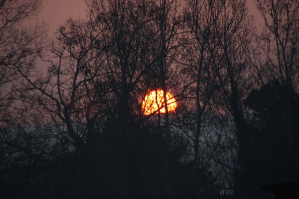 5mars2012--Carcassonne-voyage-001a.jpg