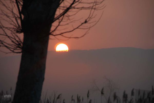 5mars2012--Carcassonne-voyage-006a.jpg