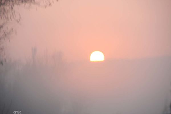 5mars2012--Carcassonne-voyage-007a.jpg