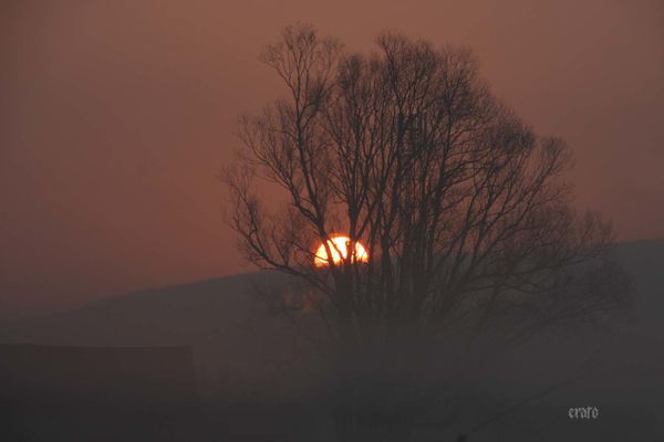 5mars2012--Carcassonne-voyage-009a.jpg
