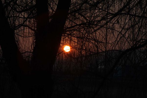 5mars2012--Carcassonne-voyage-012a.jpg