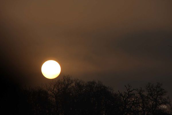5mars2012--Carcassonne-voyage-019a.jpg