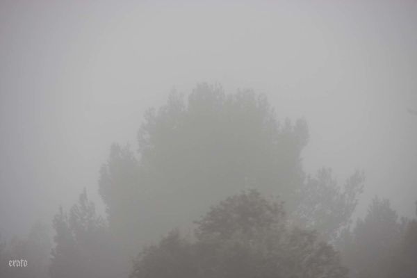 5mars2012--Carcassonne-voyage-031a.jpg