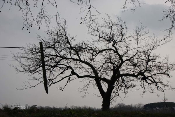 5mars2012--Carcassonne-voyage-270a.jpg
