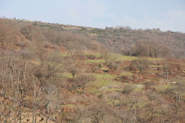 22mars2012-Plateau-ardechois-148a.jpg