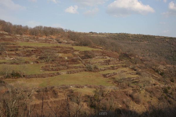 22mars2012-Plateau-ardechois-149a.jpg